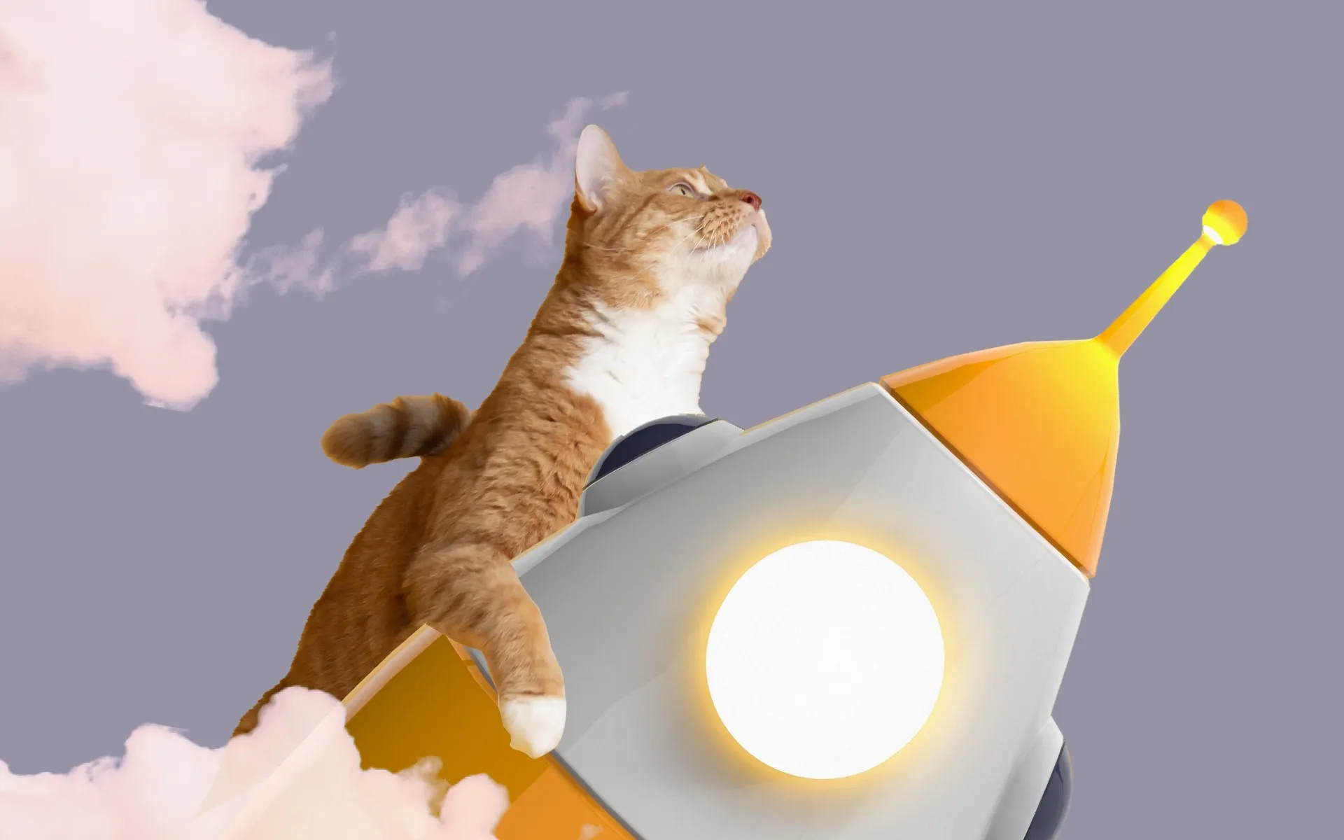 cat-riding-a-spaceship.webp