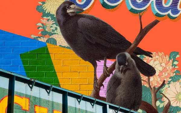 Crows sitting above Camden Lock 